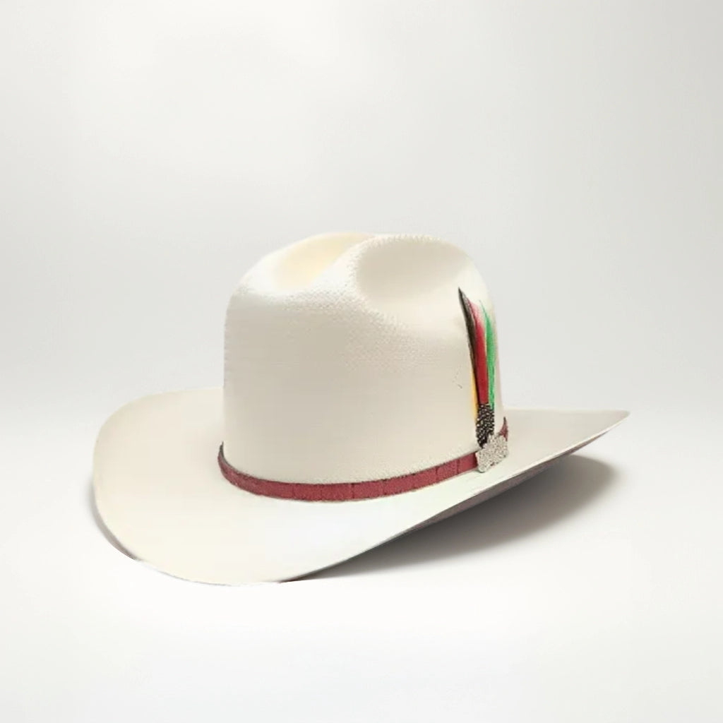 100X CHAPARRAL LAQUEADO PLACA NICOL HATS TOQUILLA COÑAG