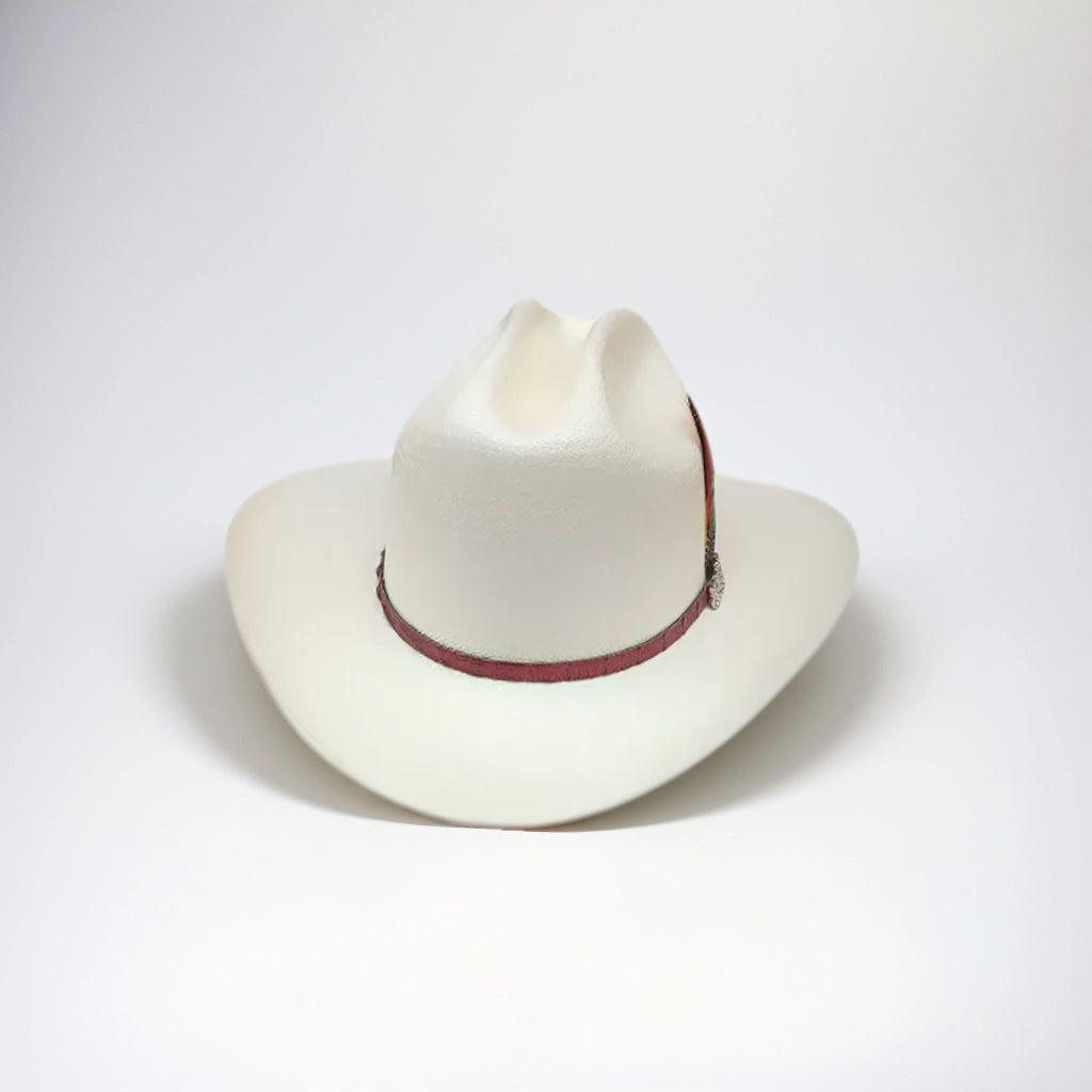 100X CHAPARRAL LAQUEADO PLACA NICOL HATS TOQUILLA COÑAG