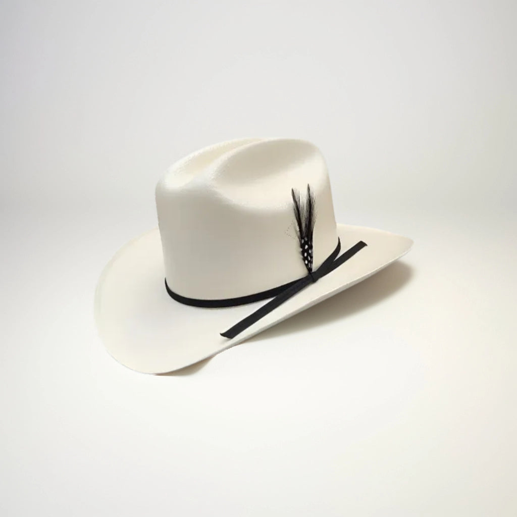 100X CHAPARRAL LAQUEADO LISTON Y PLUMA NEGRA