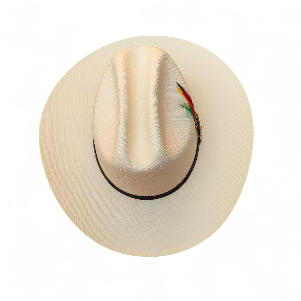 1000X CHAPARRAL PLACA TOMBSTONE PLUMA STETSON